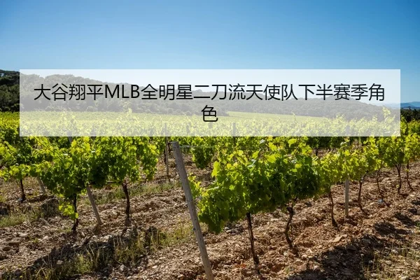 大谷翔平MLB全明星二刀流天使队下半赛季角色