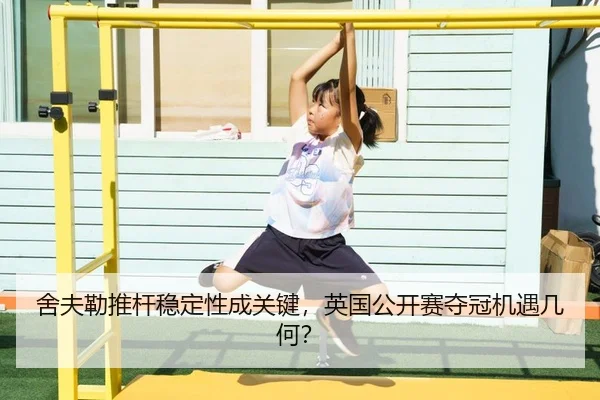 she-fu-lei-tui-gan-wen-ding-xing-cheng-guan-jian-ying-guo-gong-kai-sai-duo-guan-ji-yu-ji-he-2-449.jpg