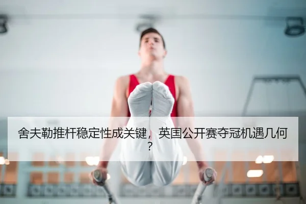 she-fu-lei-tui-gan-wen-ding-xing-cheng-guan-jian-ying-guo-gong-kai-sai-duo-guan-ji-yu-ji-he-3-545.jpg